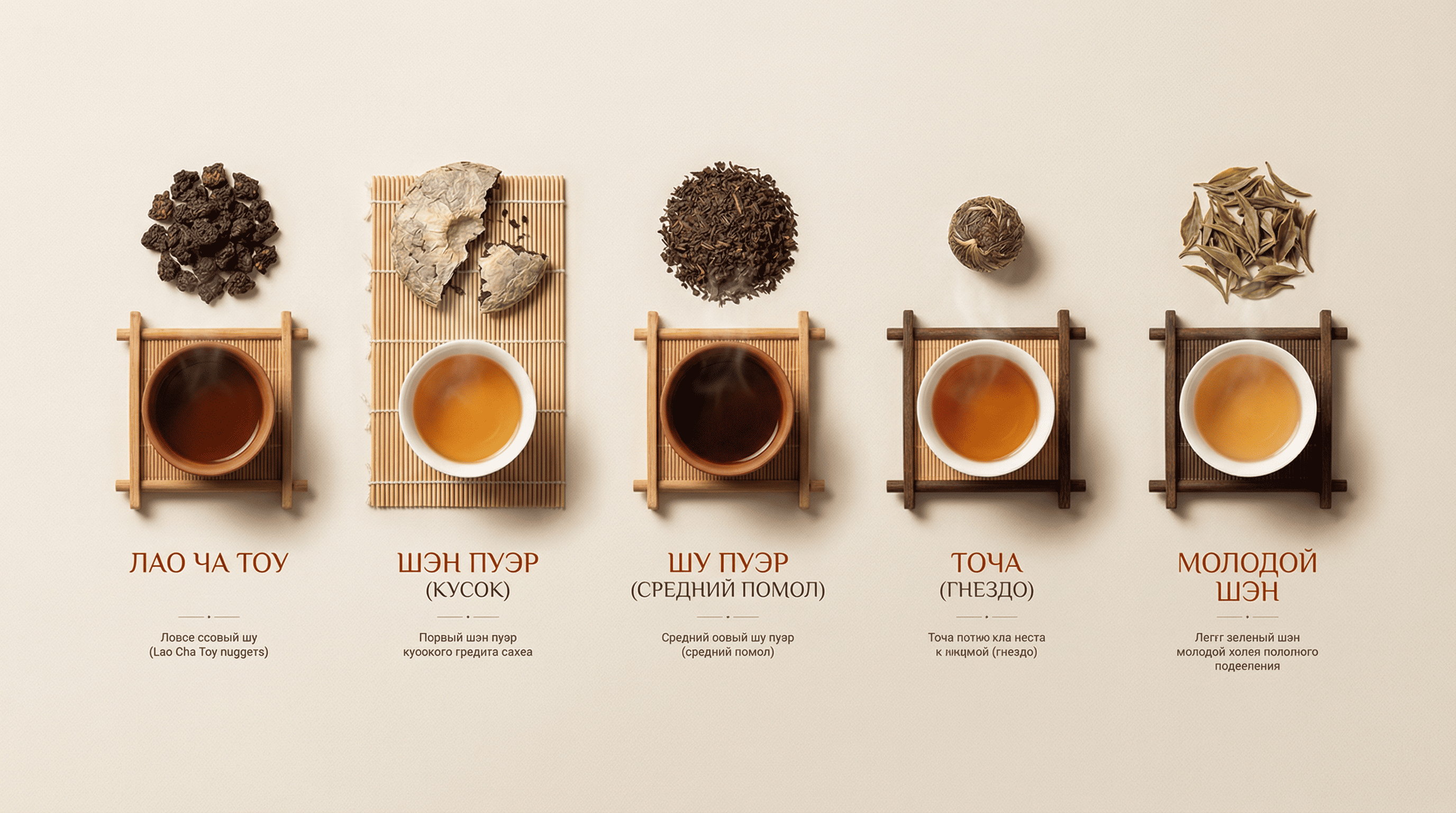 Топ-5 пуэров для начинающих: с чего начать знакомство